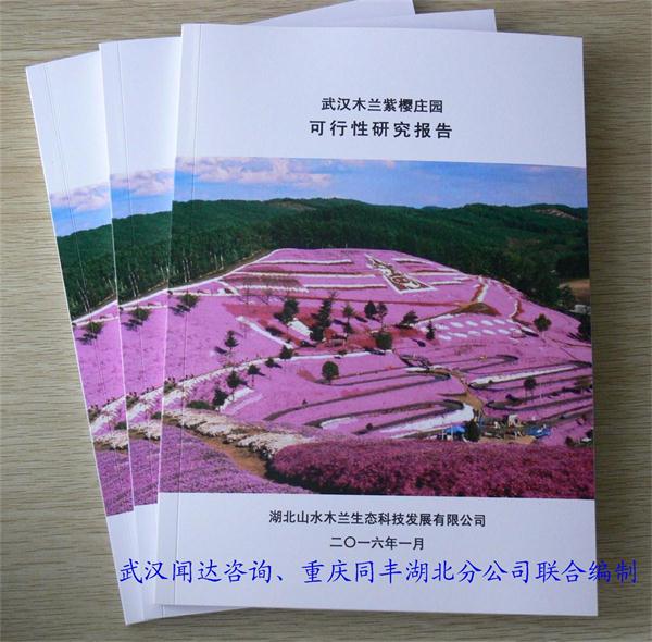 咸寧溫泉養(yǎng)老中心項(xiàng)目可行性研究報告
